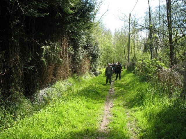 2008 04  Bota et Myco 18